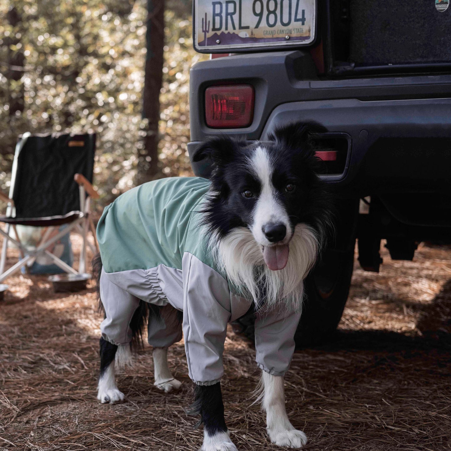 Havasu Jaqueta Repelente de Água para Cães