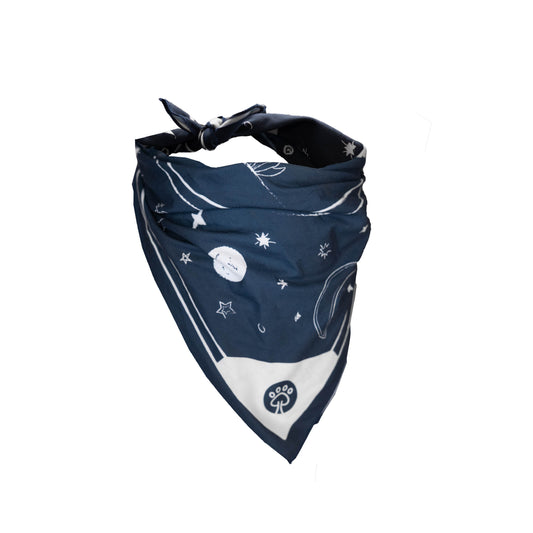 Bandana Desert Night para Cães